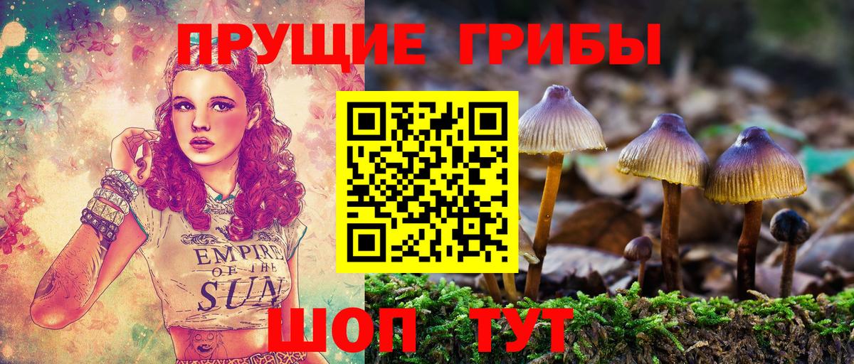 Печора  Галлюциногенные грибы Magic Shrooms  Вход с VPN  Галлюциногенные грибы MAGIC MUSHROOMS 